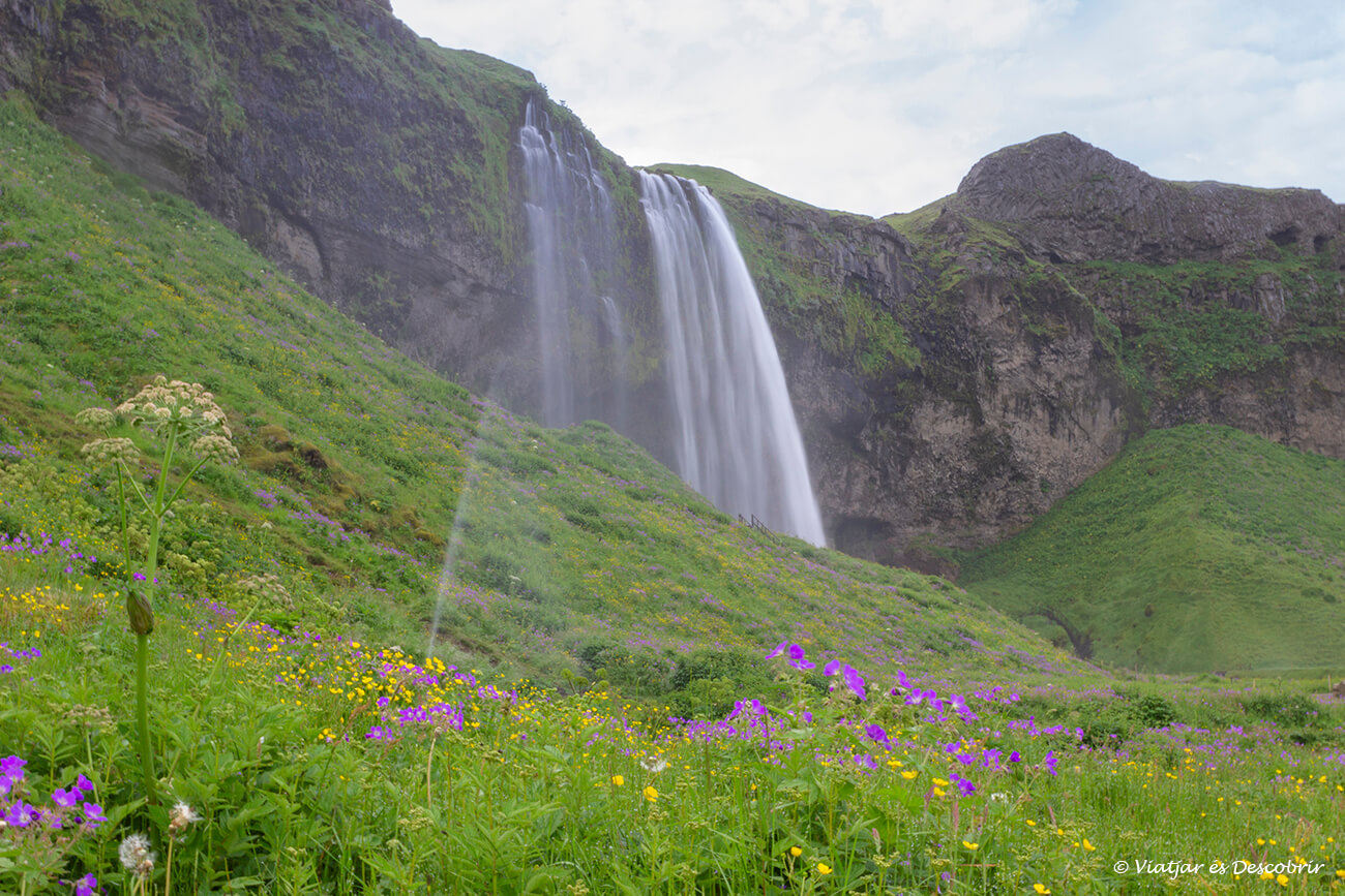 detalles de la cascada Seljalandsfoss y la vegetación del entorno