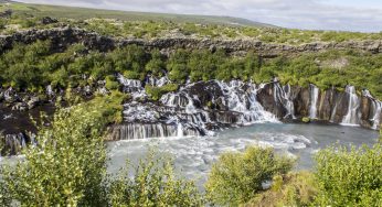 Las focas de la Península de Snæfellsnes