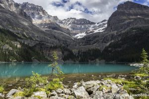 Lee más sobre el artículo Descubriendo el Lago O’Hara