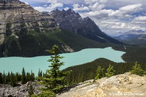 Lee más sobre el artículo Los lagos de la Icefield Parkway