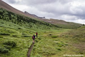 Lee más sobre el artículo Parque Nacional Jasper: La Maligne Lake Road