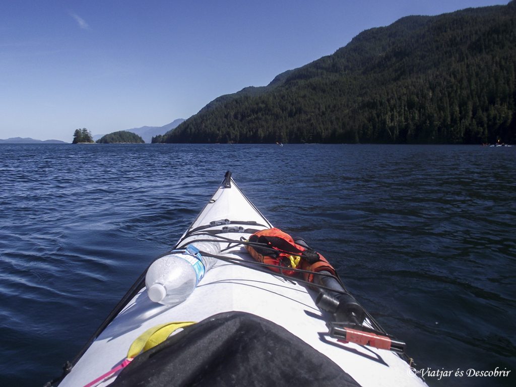 Excursión en Kayak desde Telegraph Cove Viajar es Descubrir