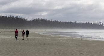 El Parque Nacional Pacific Rim: Sus mamíferos marinos y playas