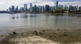 Qué visitar en Vancouver en 1 día