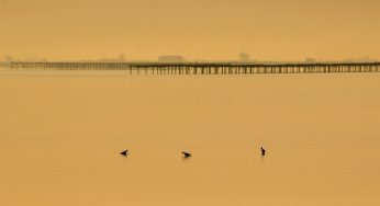 7 Rincones que visitar en el Delta del Ebro