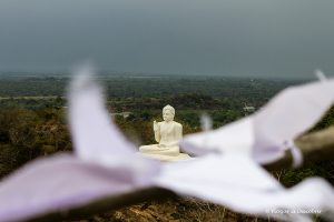 Lee más sobre el artículo Mihintale, la cuna del budismo en Sri Lanka