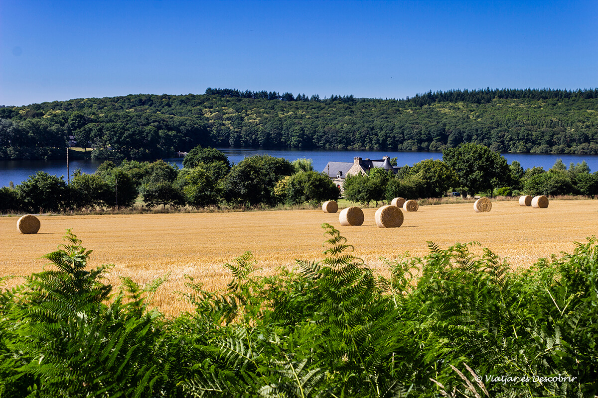 recorriendo el interior de la bretaña francesa en bicicleta entre campos de cultivo