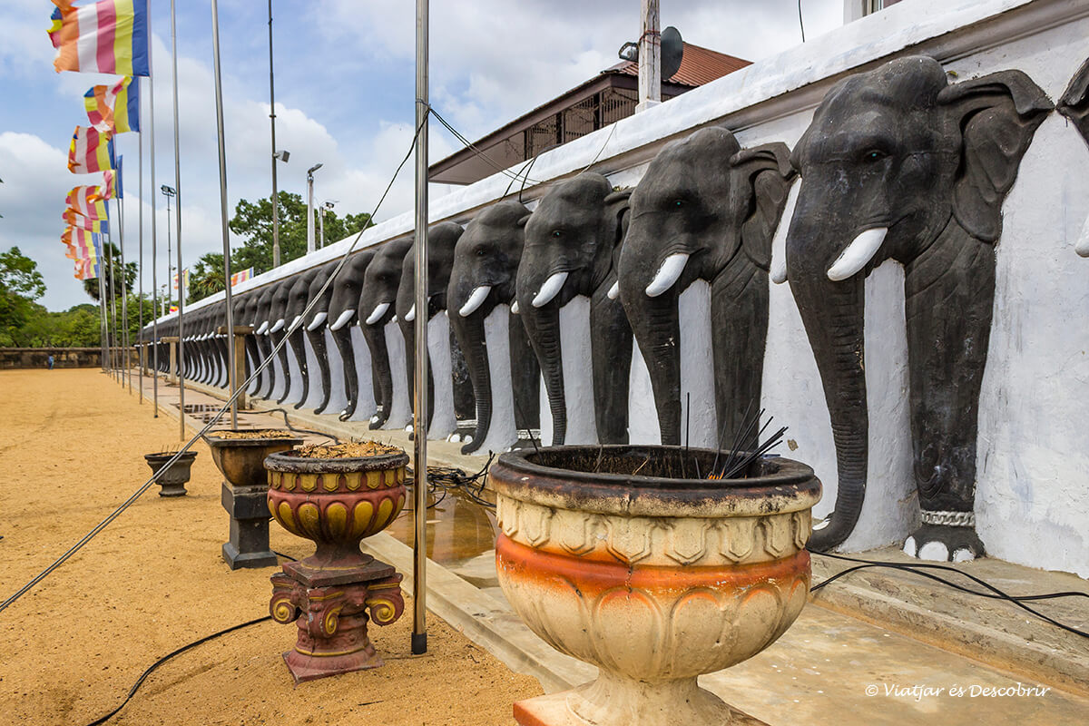 elefantes sagrados alrededor de las estupas de anuradhapura