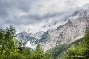 El Valle de Logarska Dolina, un tesoro de los Alpes eslovenos