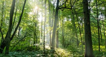 Viaje a Polonia en 12 días. Itinerario y preparación del viaje.