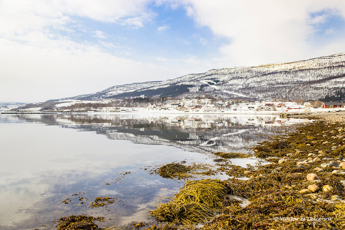 paisaje nevado de invierno por la laponia noruega en coche