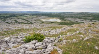 El Castillo de Bunratty, el P.N. Burren y el Dolmen de Poulnabrone