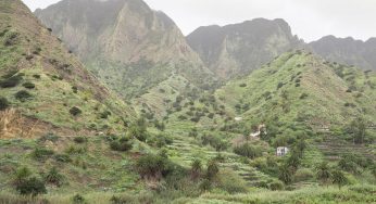 Cómo ir a la Gomera desde Tenerife