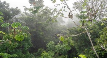 Viaje a Panamà en 20 Días. Itinerario y Preparación del viaje