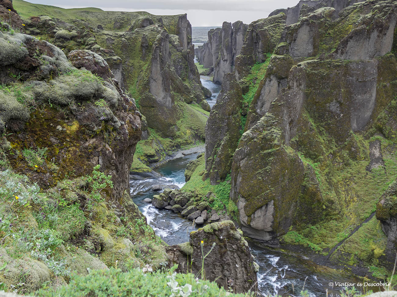 el cañón Fjaðrárgljúfur en verano recubierto de musgo de color verde