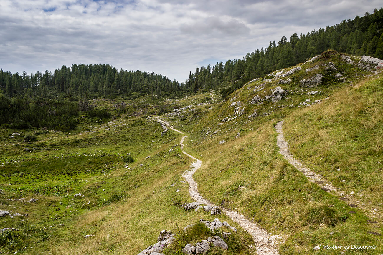 caminos de sendersime por el interior del Parque Nacional Triglav