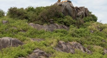 Viajar a Tanzania por libre: Preparación de la ruta e itinerario