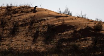 Semana 14 (Quinuituq): El Desierto del Kalahari y sus historias