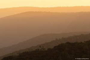 Lee más sobre el artículo Semana 20 (Quinuituq): Volveré pronto