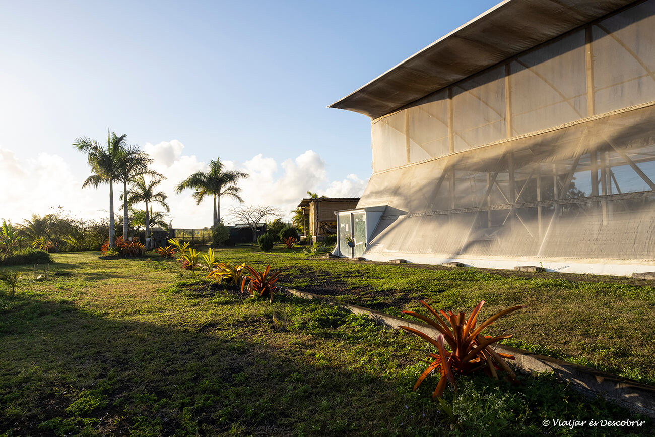 la granja de agricultura regenerativa en el norte de la isla de Mauricio donde estuve colaborando