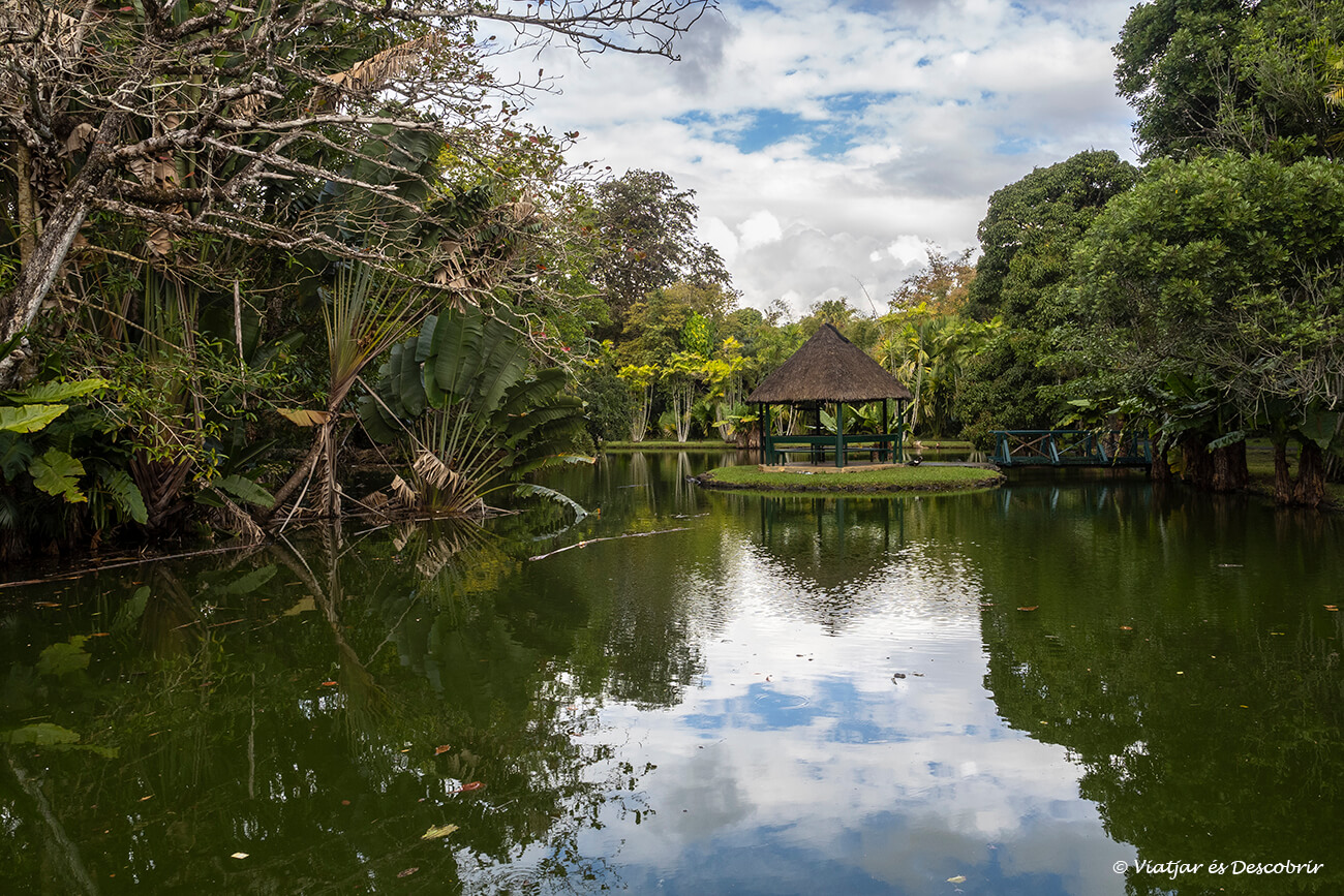 pequeña laguna y reflejos en los jardines botánicos de Pamplemousses