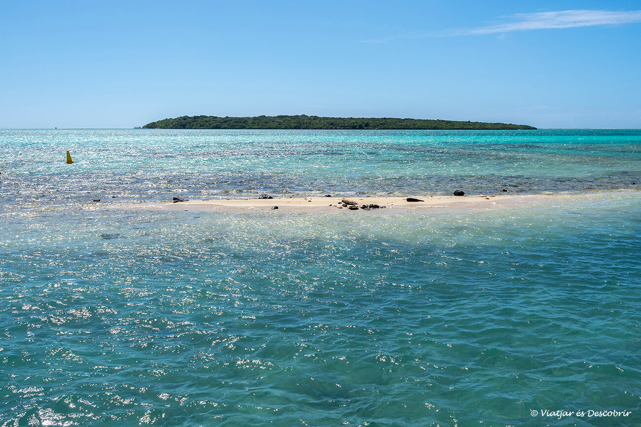 la pequeña Île aux Aigrettes fotografiada desde la costa, se puede llegar a esta isla con menos de 5 minutos en barca y es un recorrido que está incluido en el tour