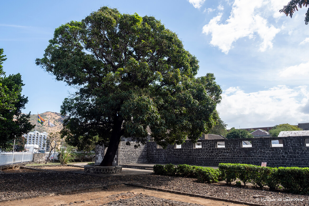 uno de los jardines del Apraavasani Ghat uno de los puntos con más historia e importancia cultural que se pueden ver al realizar un viaje a la Isla Mauricio