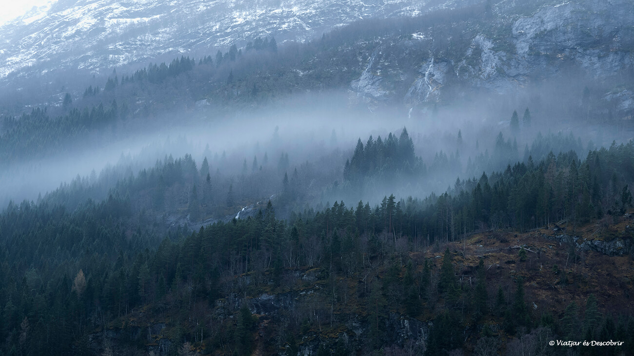 bosques que rodean el lago Oldevatnet recorriendo el valle que comienza desde el pueblo de Olden, una de las zonas más interesantes de Noruega