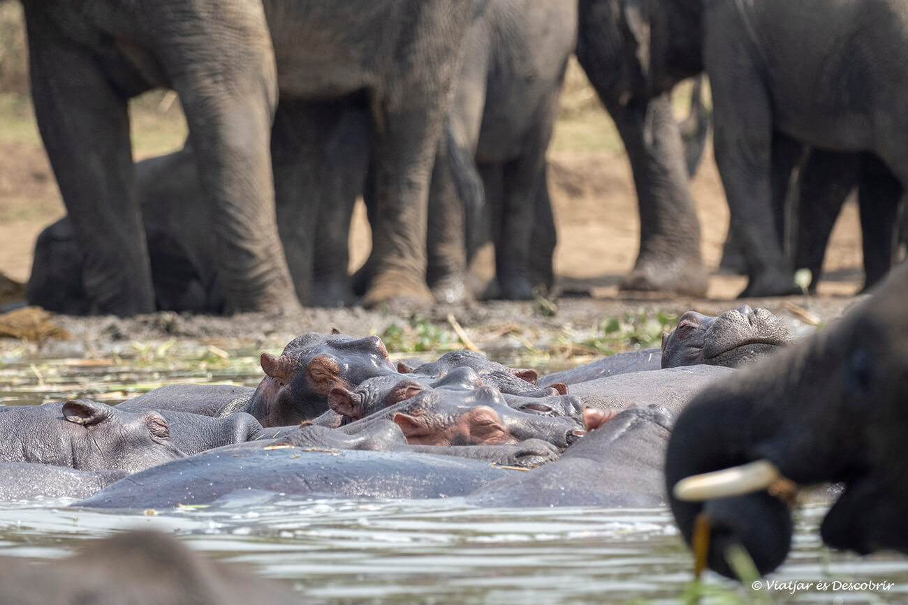 En este momento estás viendo Safari en el Parque Nacional Queen Elizabeth (Uganda)