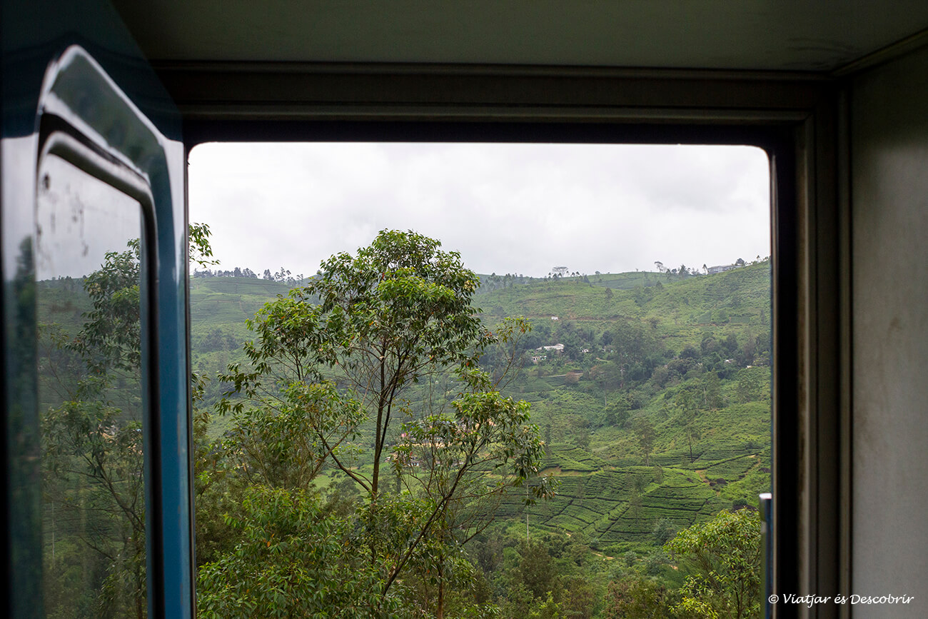 paisaje verde de Sri Lanka desde la puerta abierta de uno de los trenes que recorren esta zona de la isla