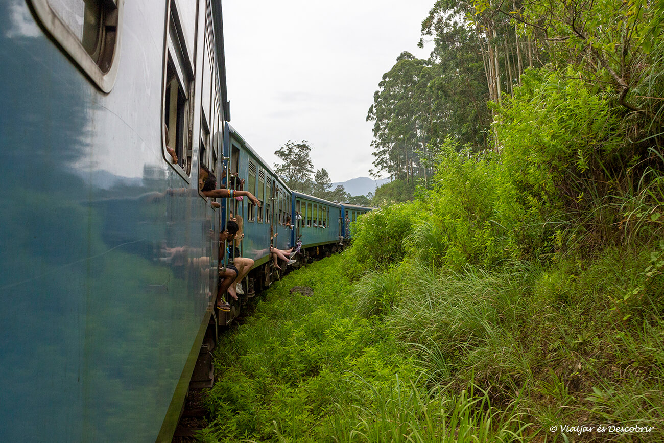 el famoso tren de Sri Lanka azul pasando por el lado de un bosque de Sri Lanka