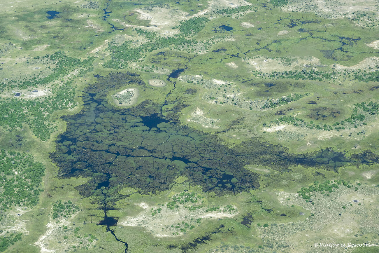 vista desde el cielo de los canales y lagunas del delta del okavango en botswana