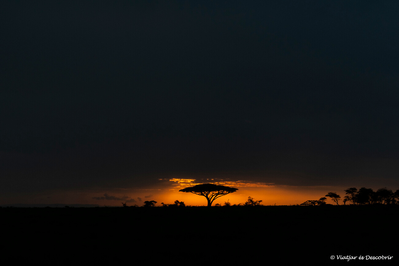 salida de sol en la sabana africana
