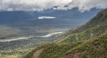 5 Senderos en el Parque Nacional Pumalín