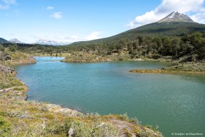 Lee más sobre el artículo Semana 42 (Quinuituq): De nuevo a Ushuaia