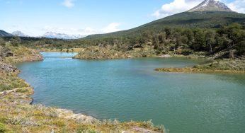 Semana 42 (Quinuituq): De nuevo a Ushuaia