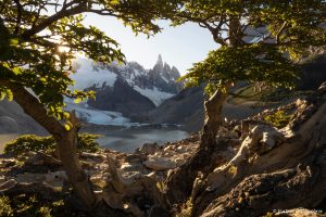 Lee más sobre el artículo Semana 46 (Quinuituq): Buscando luces mágicas