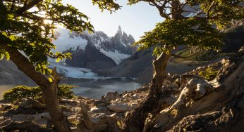 Semana 46 (Quinuituq): Buscando luces mágicas