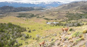 Visitar el Valle de Chacabuco (Parque Nacional Patagonia)