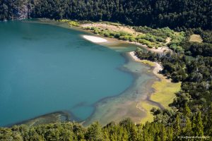 Lee más sobre el artículo Semana 50 (Quinuituq): Del mar Atlántico a la Cordillera de los Andes