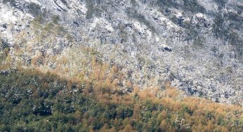 Semana 56 (Quinuituq): Cuando nieva todo cambia