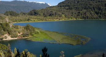 El Parque Nacional Los Alerces: 14 Senderos Recomendados