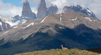 Cómo llegar al Parque Nacional Torres del Paine
