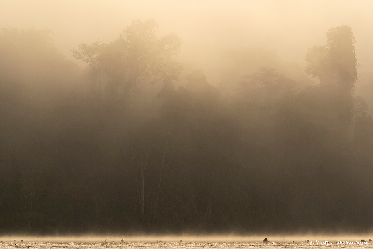 salida de sol en la selva del amazonas