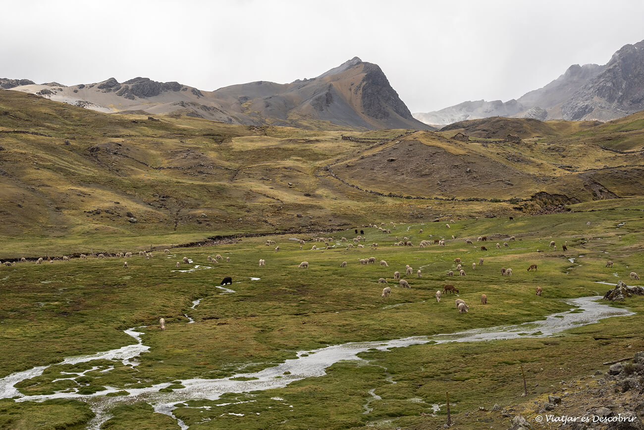 paisaje de montaña durante la subida a las lagunas de ausangate