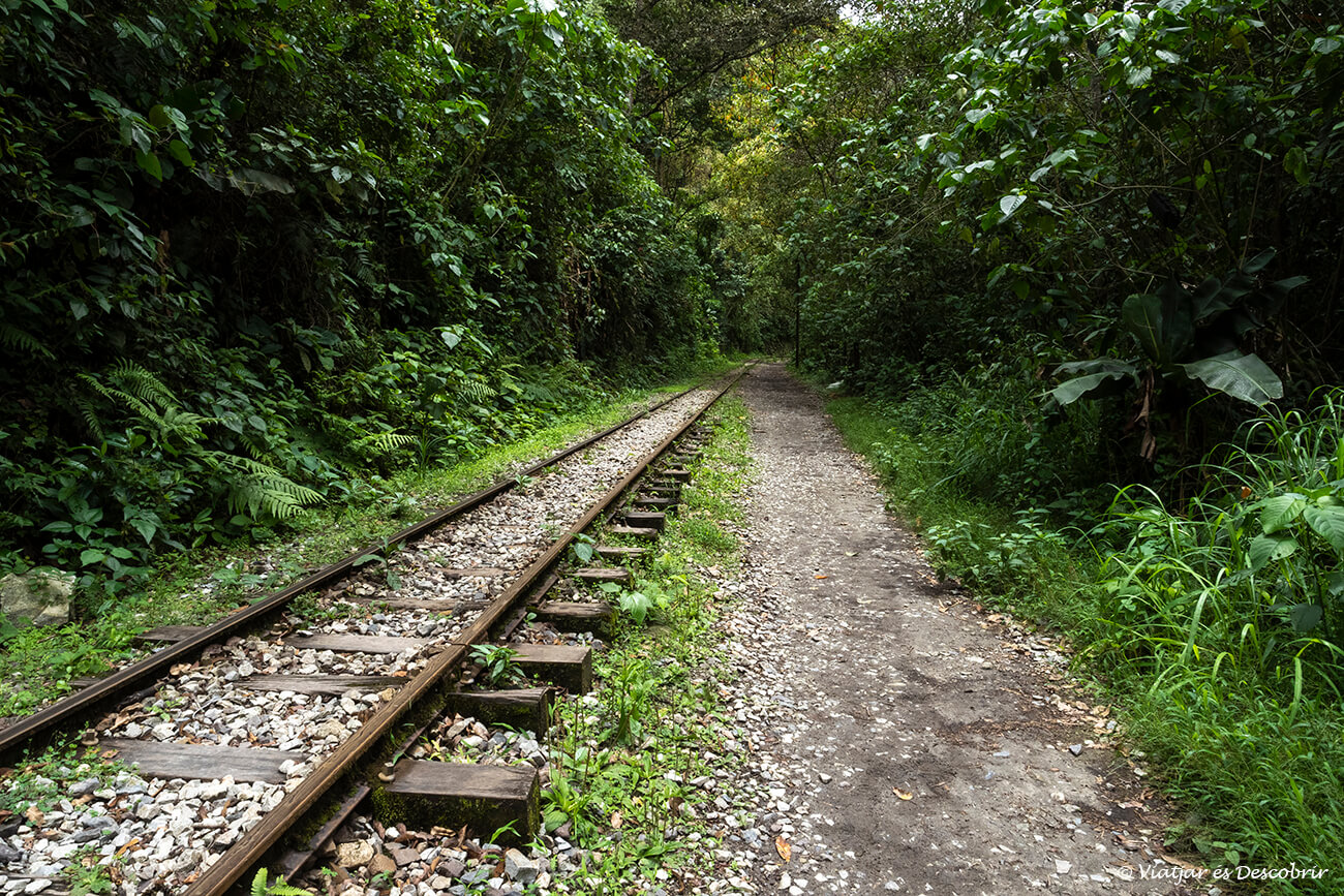 camino junto a la vía del tren para llegar hasta el pueblo de Aguas Calientes y terminar el trekking del Salkantay por libre