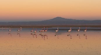 Qué ver en San Pedro de Atacama: 15 lugares imprescindibles
