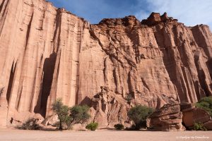 Lee más sobre el artículo Visitar Talampaya e Ischigualasto: guía de viaje