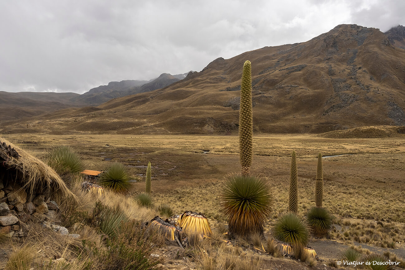 parada durante el camino hasta el glaciar Pastoruri