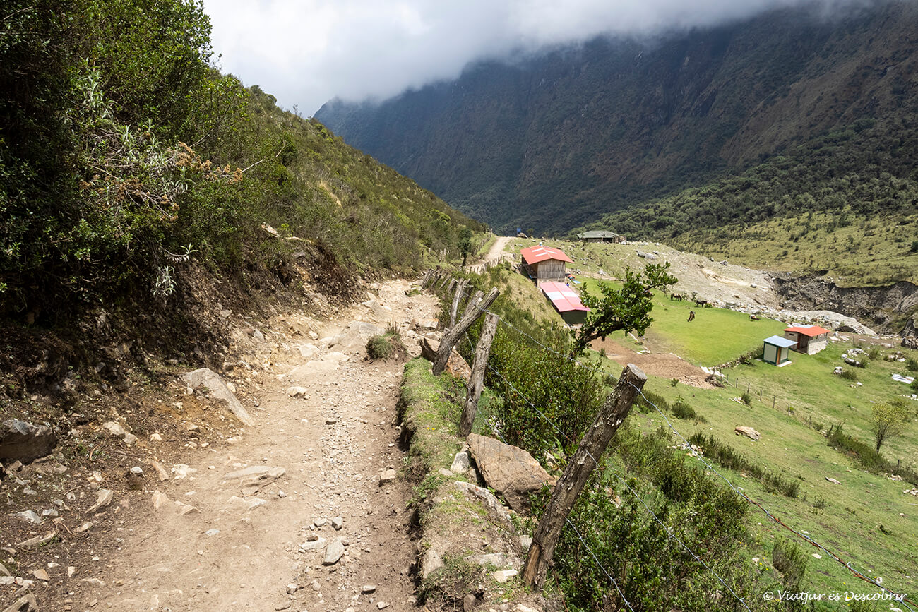 bajada entre prados alpinos y el inicio de la selva alta hasta Collpapampa